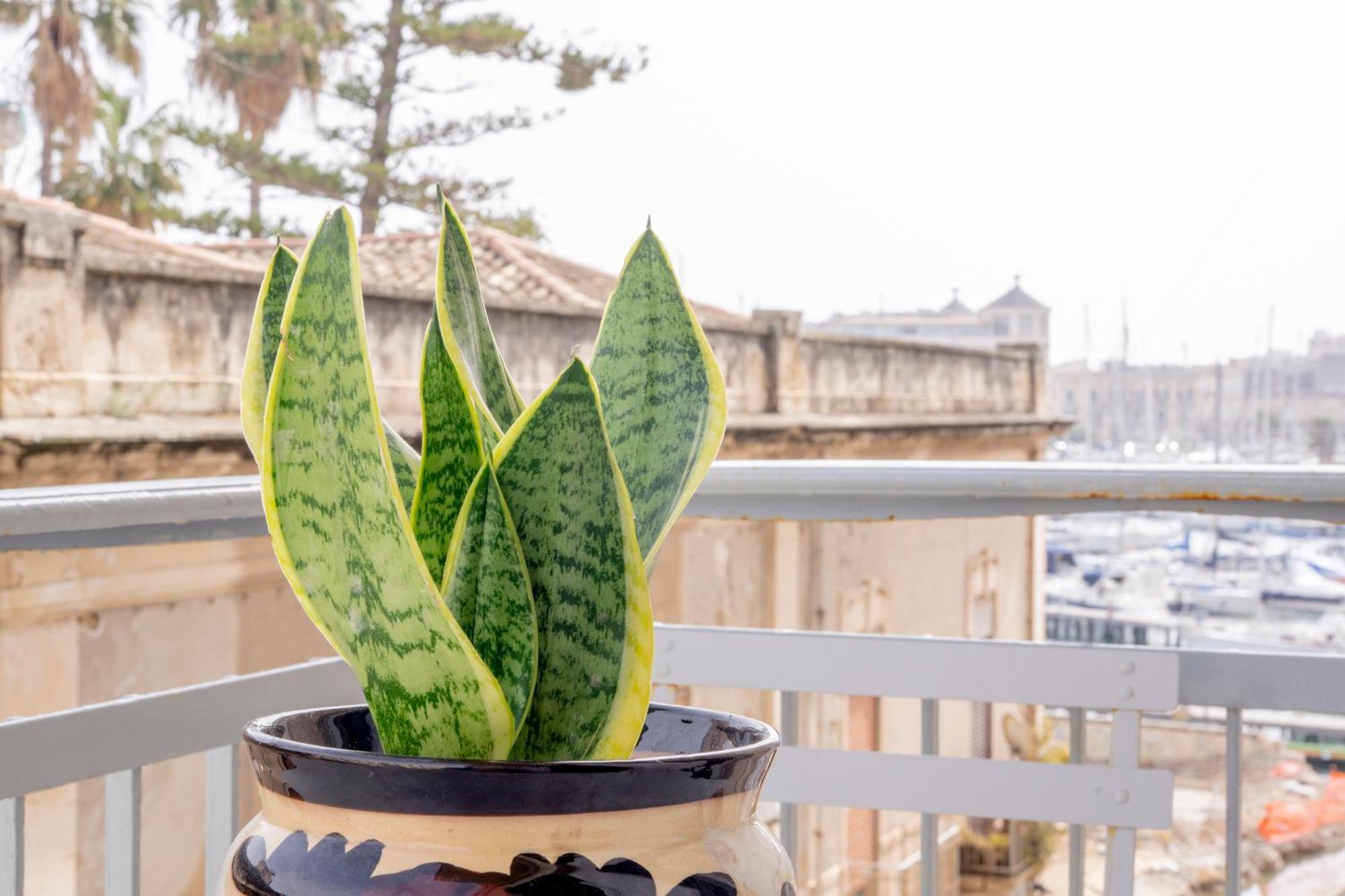 Eos Serenity Suites Syrakuzy Zewnętrze zdjęcie